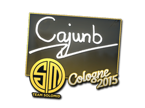 cajunb | Boston 2018 image